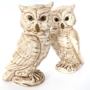 Vintage Ceramic Owl Set